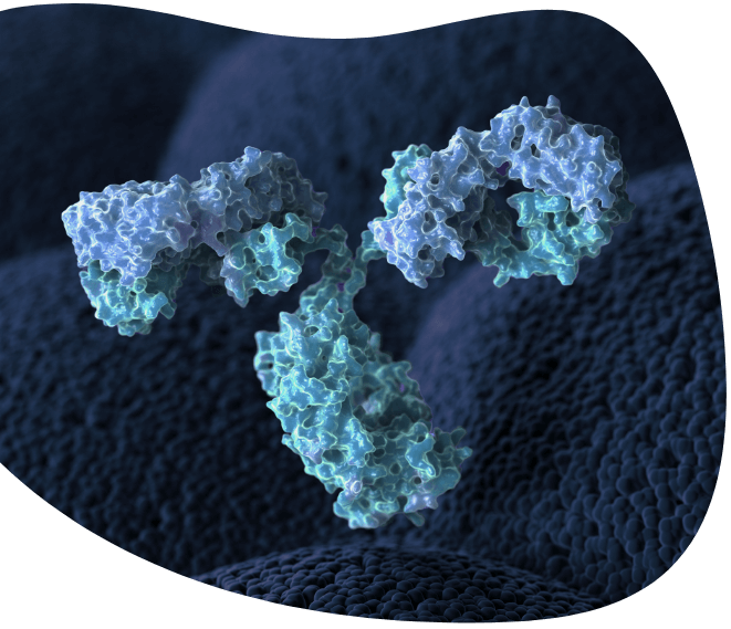 An artistic illustration of an antibody in hues of blue and teal.